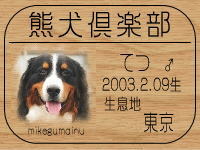 @��������̂g�o�ւf�n�I